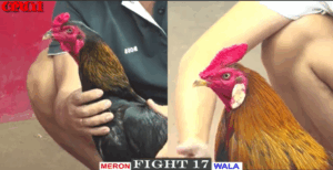 Tùng Mìn Đưa Hàng Tuyển Ra Trận Đấu Lớn - Trận 18 CPC1 19/5/2025